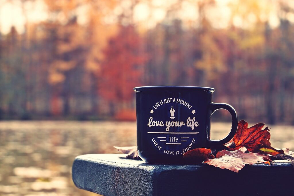 fall, forest, cup-4656877.jpg